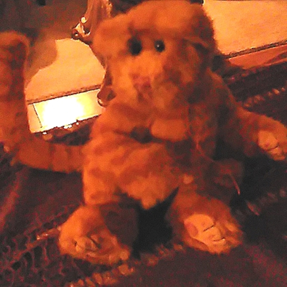 Ty baby